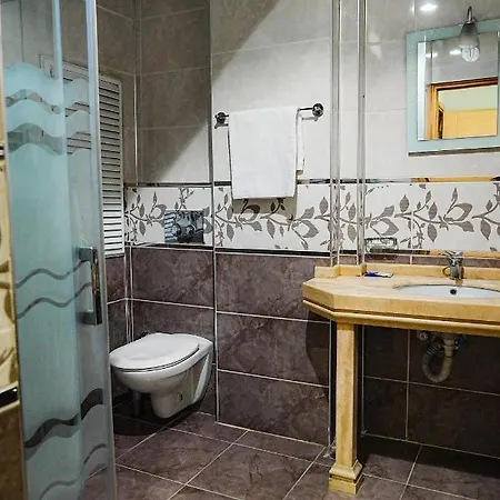 فندق ريان 3*