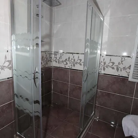 فندق ريان